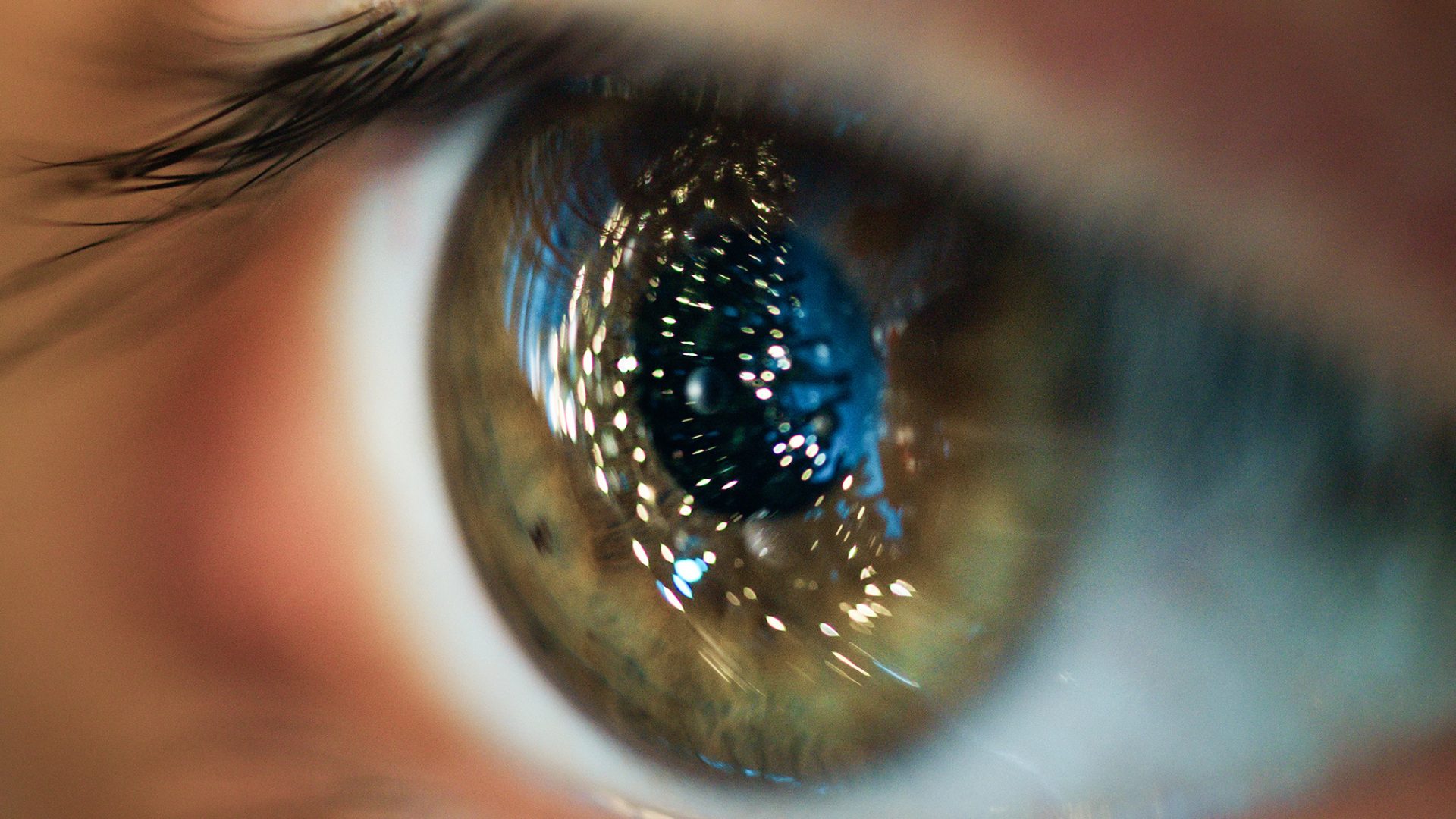 looking-the-christmas-tree-eye-macro-shoot-2025-01-29-03-13-08-utc